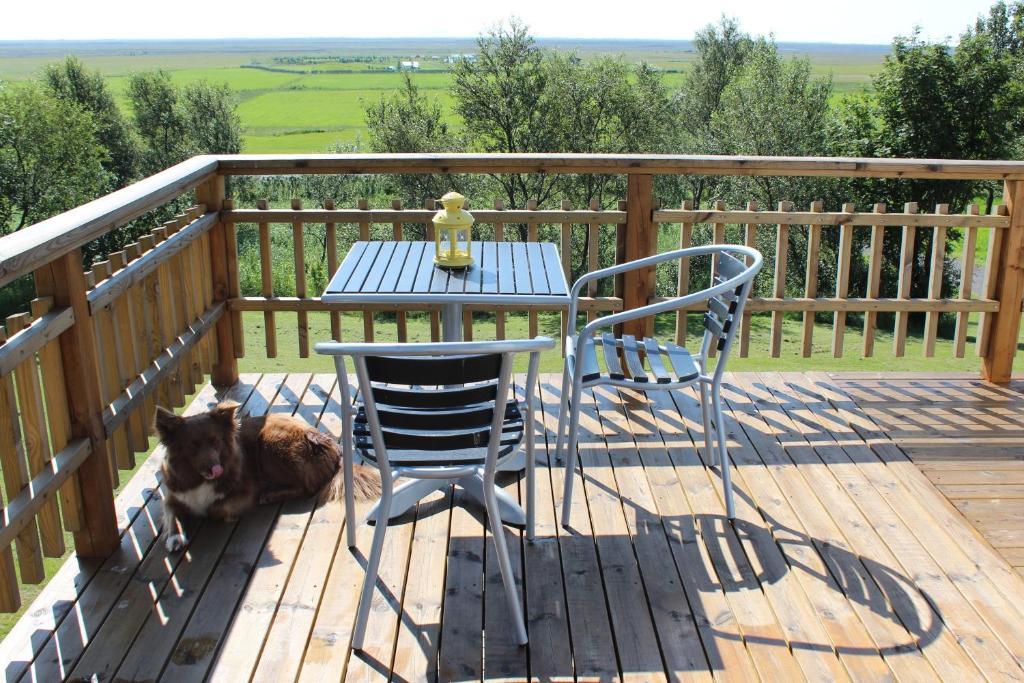 Fagrahlid Guesthouse Hvolsvöllur Esterno foto